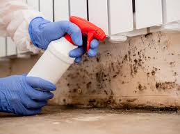 Best Real Estate Mold Inspection in Hermann, MO